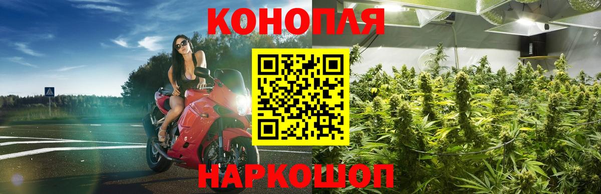 Шишки марихуана план Омск